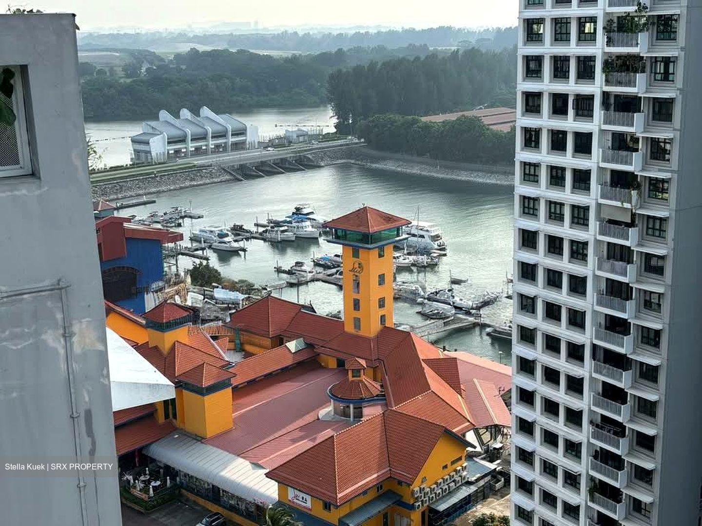 Blk 408A Northshore Residences II (Punggol), HDB 2 Rooms #599133991